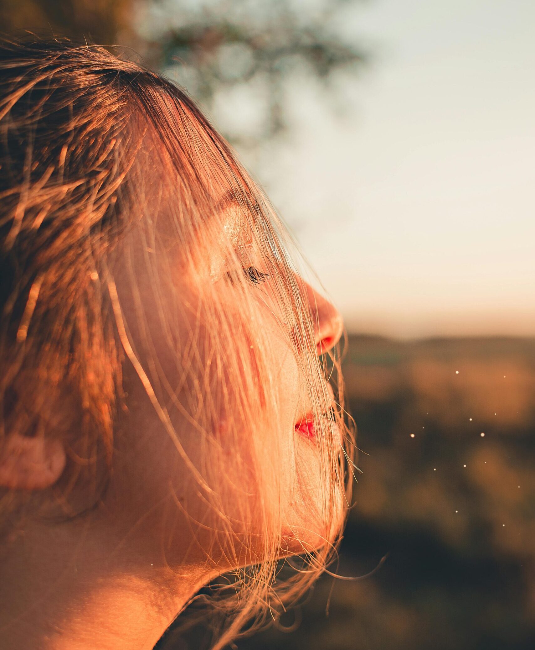 cabinet Zahara Tavernier
